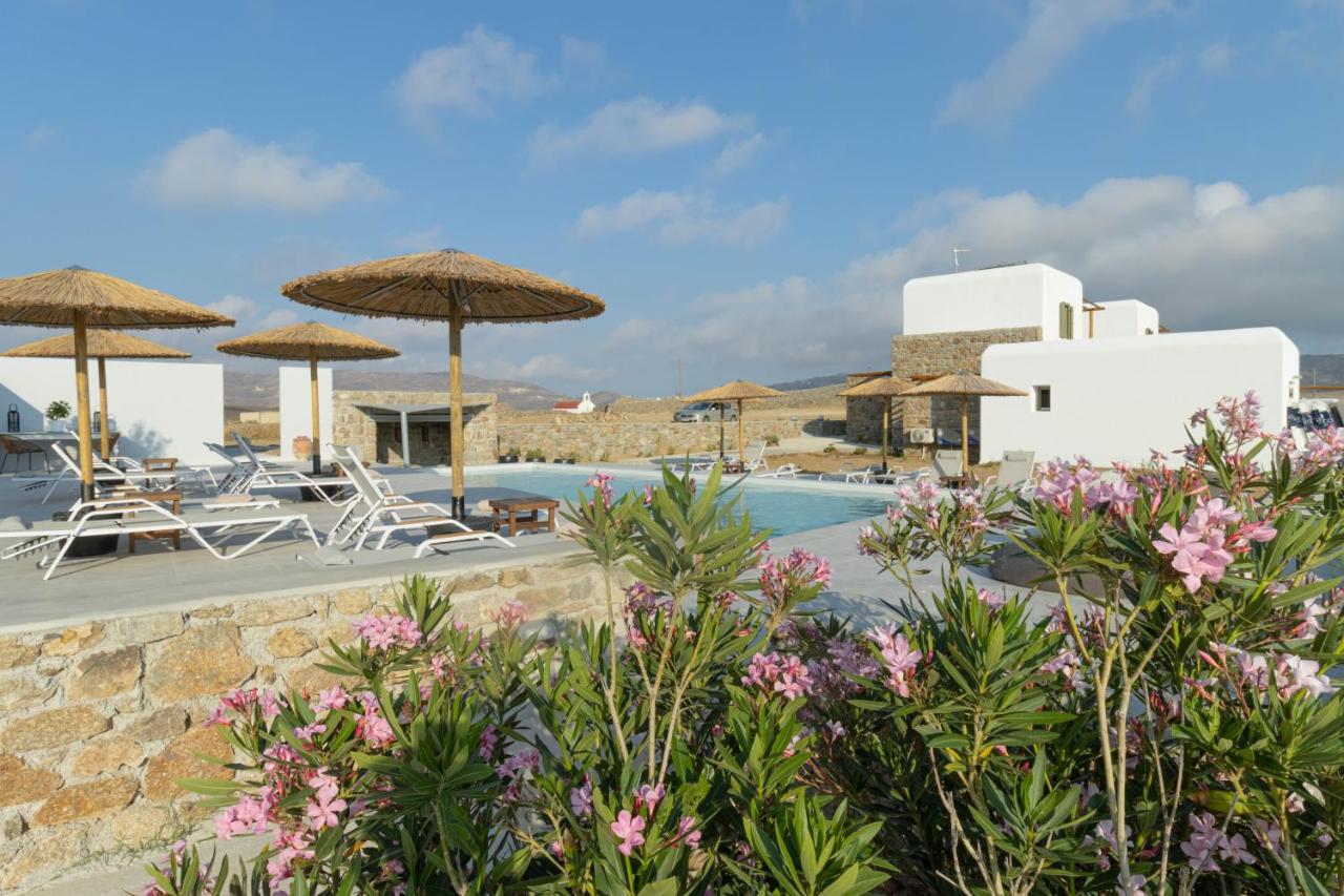Hotel Alirene Mykonos Panormos  Zewnętrze zdjęcie