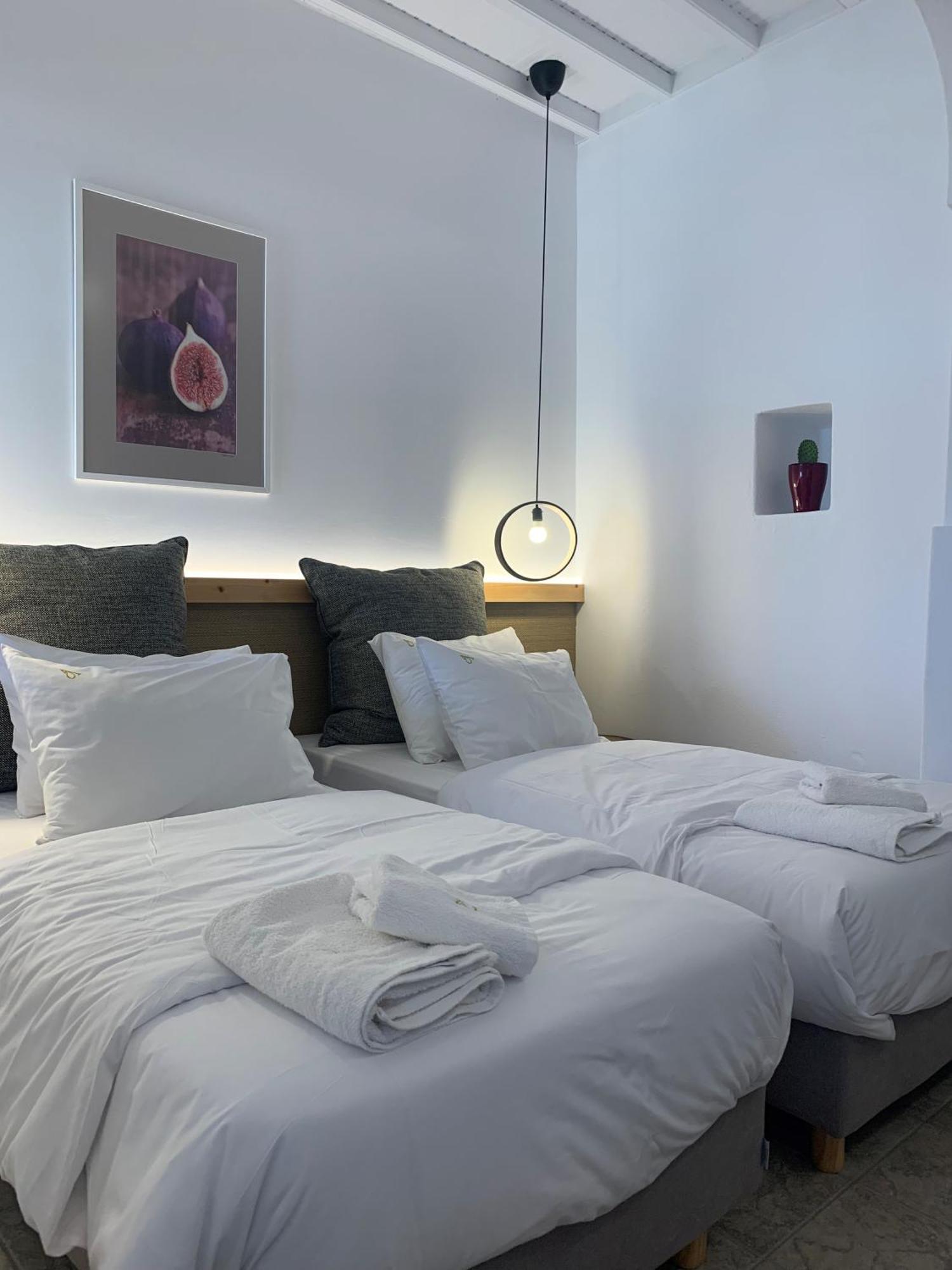Hotel Alirene Mykonos Panormos  Zewnętrze zdjęcie